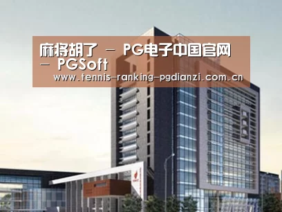 案例展示七