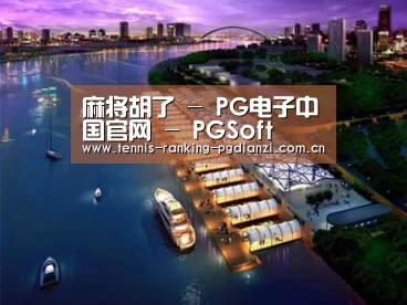 案例展示八