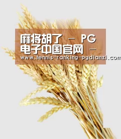 麻将胡了 - PG电子中国官网 - PGSoft