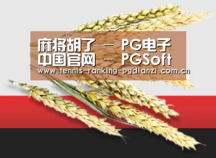 麻将胡了 - PG电子中国官网 - PGSoft