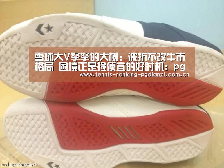 雪球大V孥孥的大树:波折不改牛市格局 困境正是捡便宜的好时机:pg试玩网(图1) pg电子麻将胡了