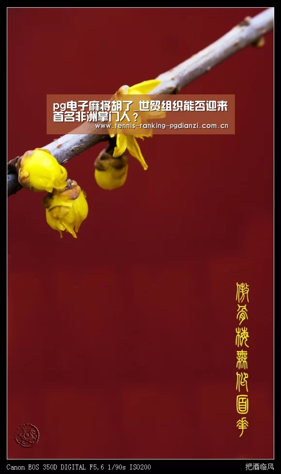 pg电子麻将胡了_世贸组织能否迎来首名非洲掌门人?(图2) pg试玩网